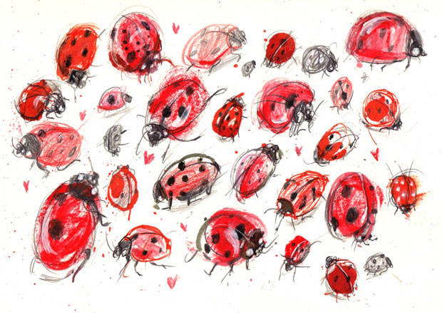 Ladybirds - Laura Hughes